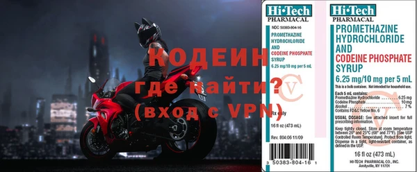 прущие грибы Алзамай