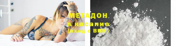 прущие грибы Алзамай