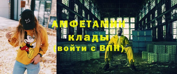 прущие грибы Алзамай