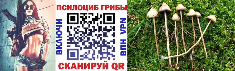 Псилоцибиновые грибы Magic Shrooms  гидра как войти  Феодосия 