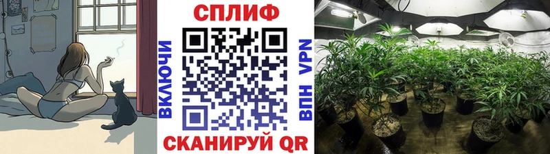 МАРИХУАНА THC 21%  Феодосия 